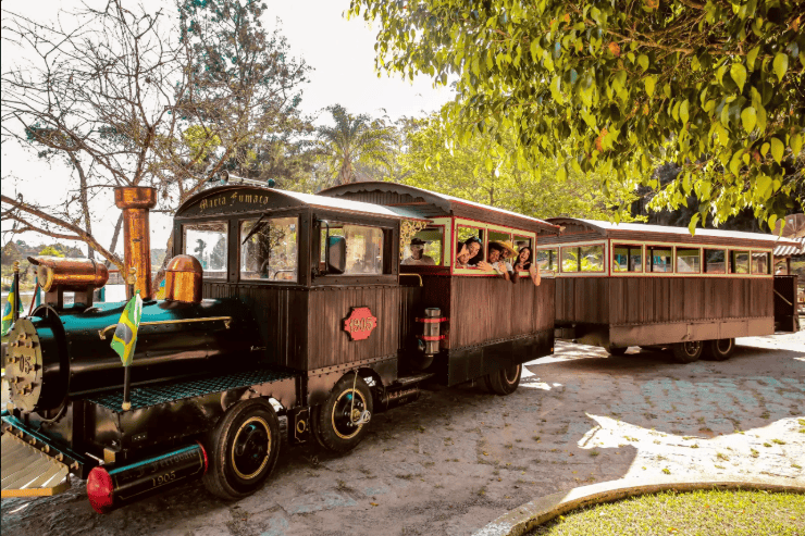 Maria Fumaça está entre as atrações oferecidas aos visitantes do Vale Encantado. Crédito: Site oficial do Vale Encantado Eco Park & Hotel