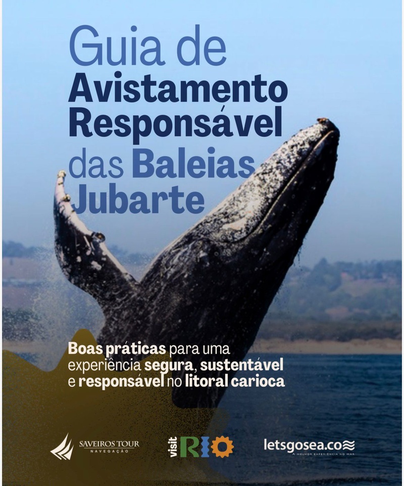 Guia orienta turistas para observar baleias-jubarte sem riscos - Crédito: divulgação