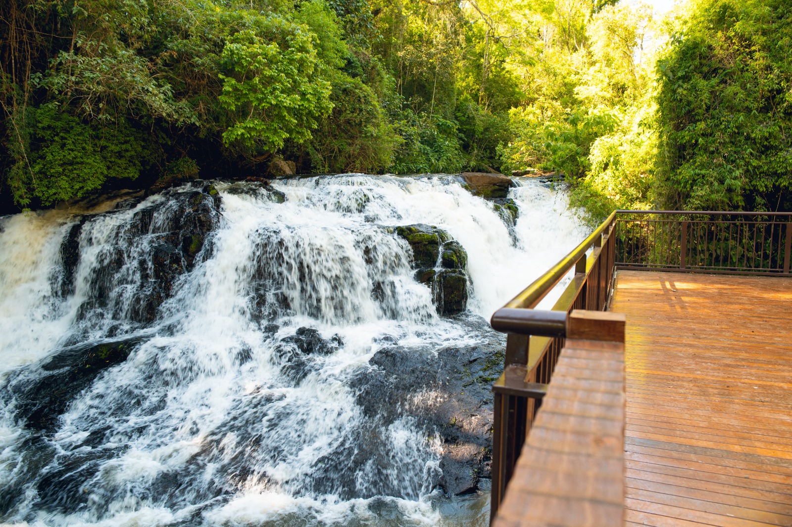 Passeio de bicicleta e aula de yoga fazem parte da programação especial do Parque Nacional do Iguaçu pelos 112 anos de Foz do Iguaçu. Crédito: Urbia+Cataratas