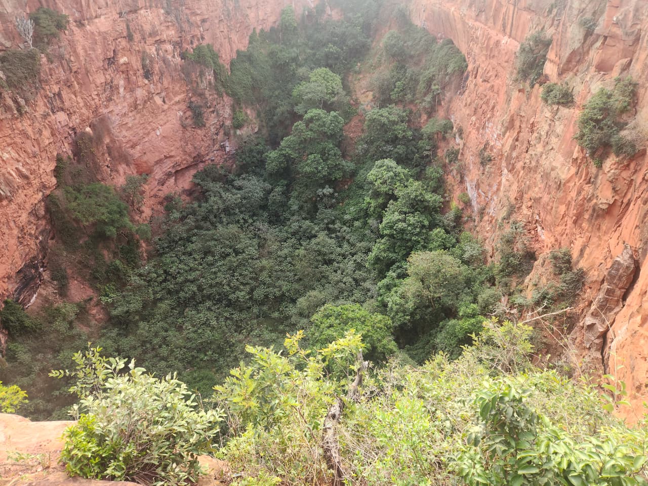 O Buraco das Araras impressiona pela grandiosidade da dolina e pela rica vegetação preservada em seu interior. Foto: Reinaldo Canto