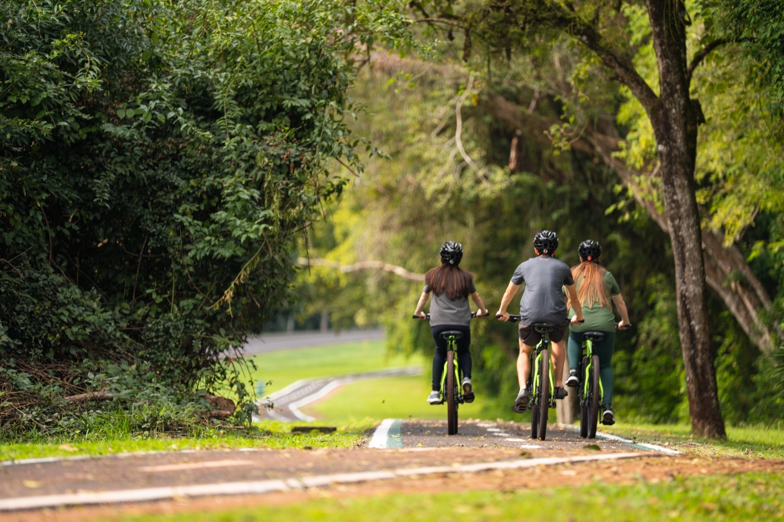 O serviço Bike Iguaçu oferece bicicletas para adultos e crianças que desejam explorar o parque sobre duas rodas. Crédito: Urbia+Cataratas.