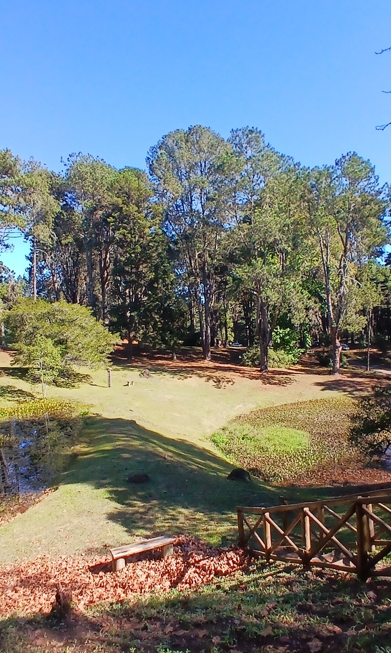 Aventoriba Lodge: uma aventura imersiva