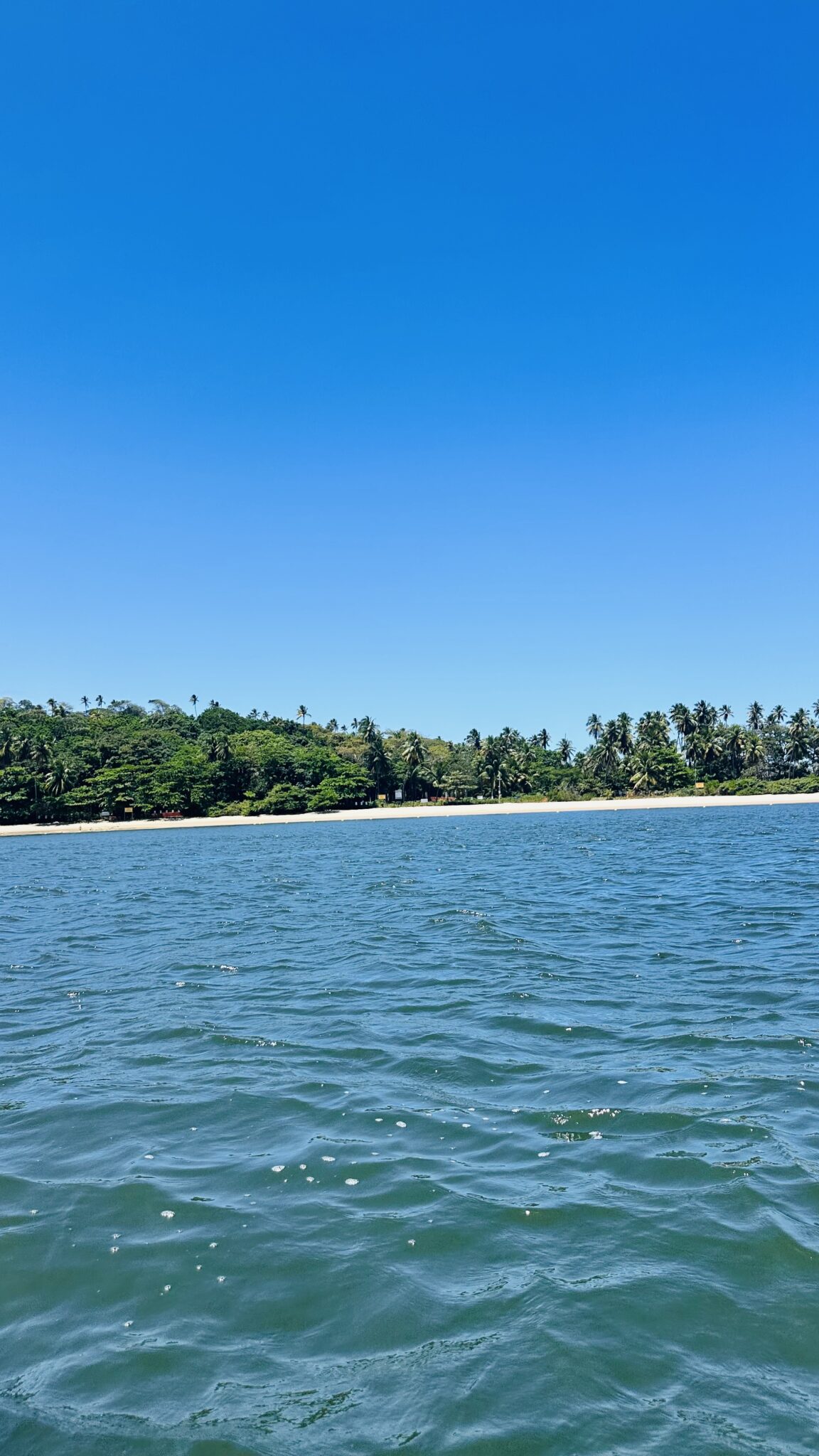 Praia dos Carneiros, em Tamandaré, reúne águas azuladas, faixa de areia e vegetação preservada no litoral sul de Pernambuco. (Crédito: Jhully Serafim / DT)