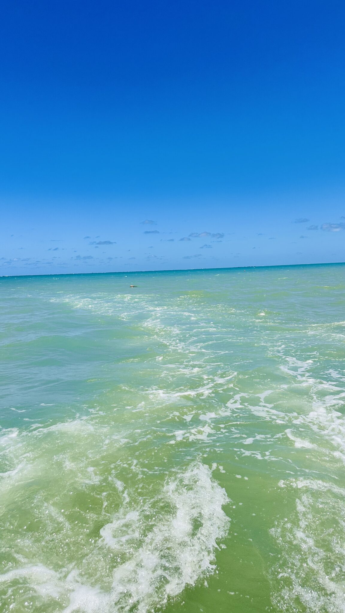 As águas em tons de verde e azul de Maragogi, em Alagoas, encantam visitantes que exploram o litoral nordestino. (Crédito: Jhully Serafim / DT)