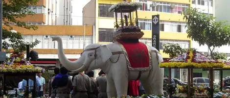 O cortejo do Elefante Branco faz parte da comemoração. (foto: divulgação)