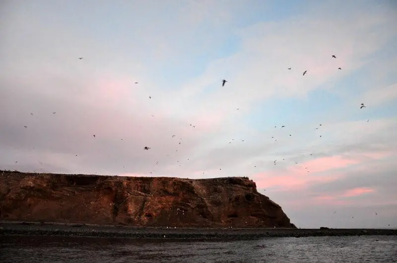 A ilha Marta é um promontório a cerca de 30 quilômetros de Punta Arenas (Foto: Wanderley Mattos Jr)