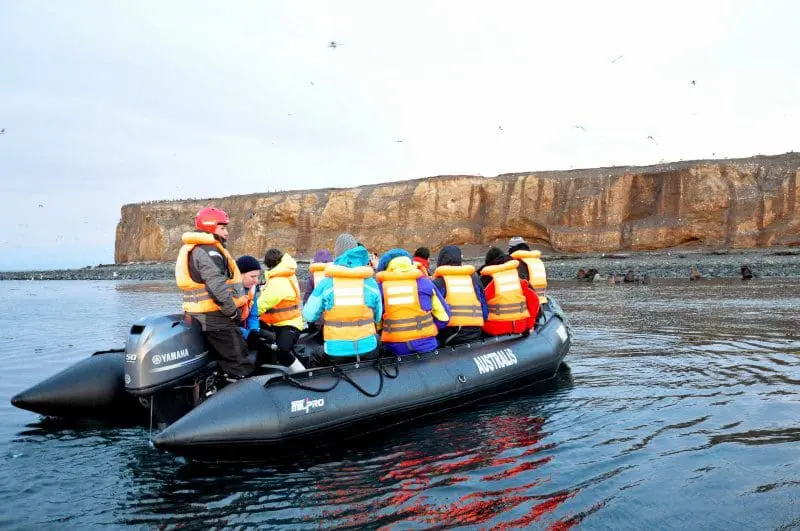 Zodiac se aproxima da ilha Marta (Foto: Wanderley Mattos Jr)