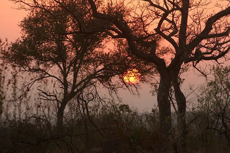 “Vamos curtir selvafricamente nossa primeira noite na savana! Só vou deixar as telas contra os mosquitos. Que entre a lua e os ventos tragam todos sons e aromas”