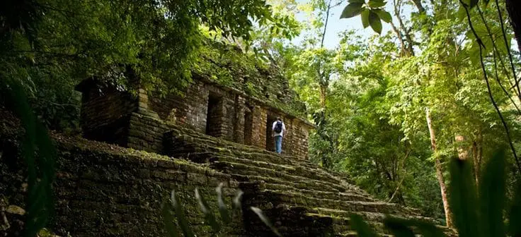 Em meio à densa floresta se encontra uma das mais belas cidades maias