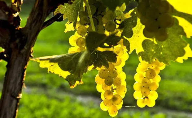 (Foto: Thinkstock)
