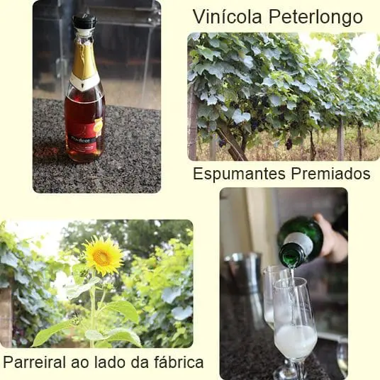 Montagem com imagens da vinícola Peterlongo.