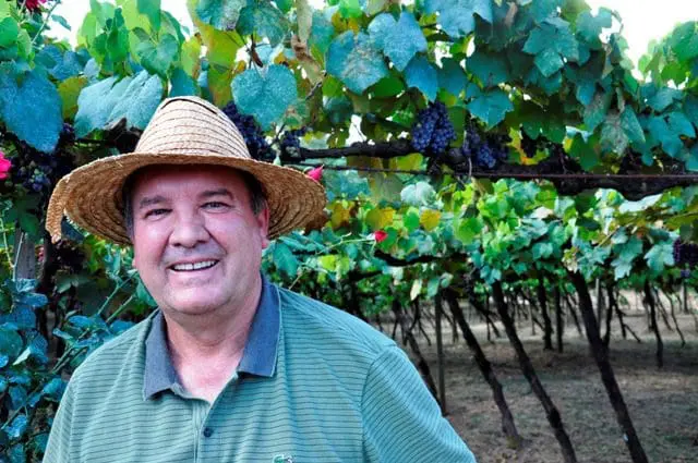 A simplicidade das coisas da terra mais uma vez se mostra presente. Aquele trabalhador do parreiral, com sua sinceridade e profundidade em explicar as coisas que vive de forma intensa era um membro da Famiglia Valduga