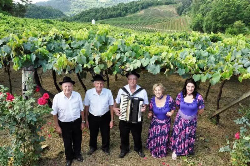 Música e canto em meio ao parreiral: emocionante!