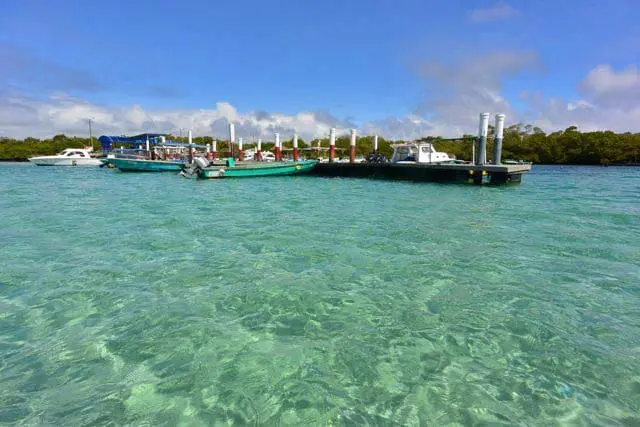 Ilha Isabela, no Equador. (Foto: divulgação)