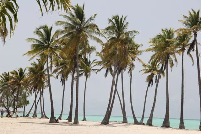 A República Dominicana mantém constantes investimentos para uma boa manutenção de questões ambientais, como a educação ambiental para os moradores e turistas, bem como a preservação e respeito à fauna e flora locais (Foto: DT)
