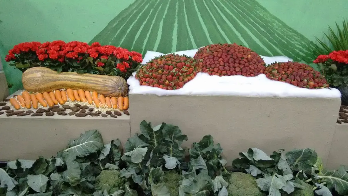 Decoração com flores e frutas durante a 36ª Festa das Flores e do Morango