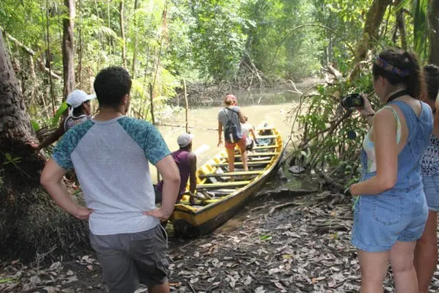 Passeios de canoa pelos igarapés compõem o entretenimento da fazenda