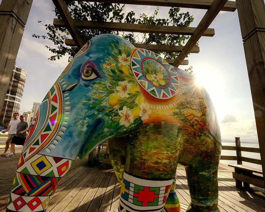 Elephant Parade Florianópolis 2015, Santa Catarina (Foto: divulgação)