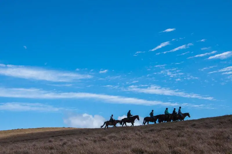 A velocidade da subida é moderada e os guias sabem como manter os cavalos tranquilos assim como os cavaleiros debutantes, ou nem tanto