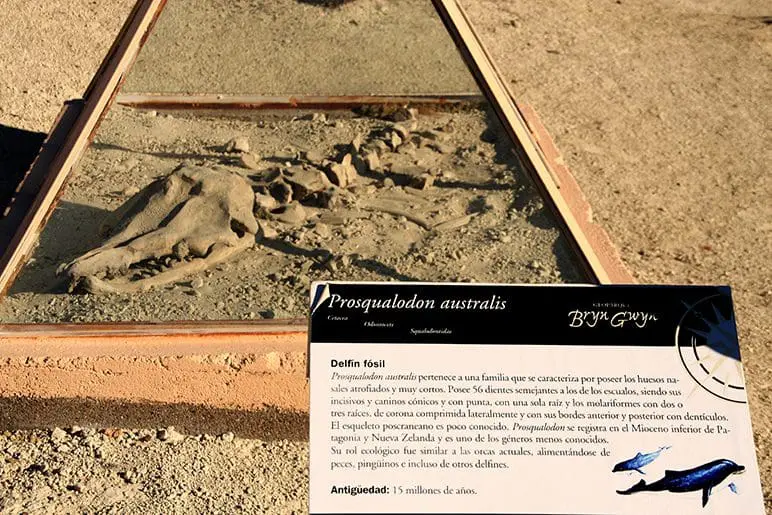 (Foto: Viramundo e Mundovirado)