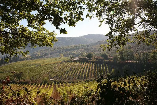 Colinas de Chianti (Foto: rethought)