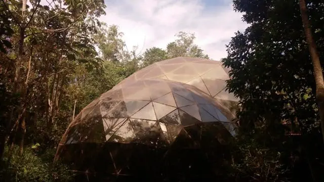 O Inhotim é um dos maiores museus a céu aberto do mundo