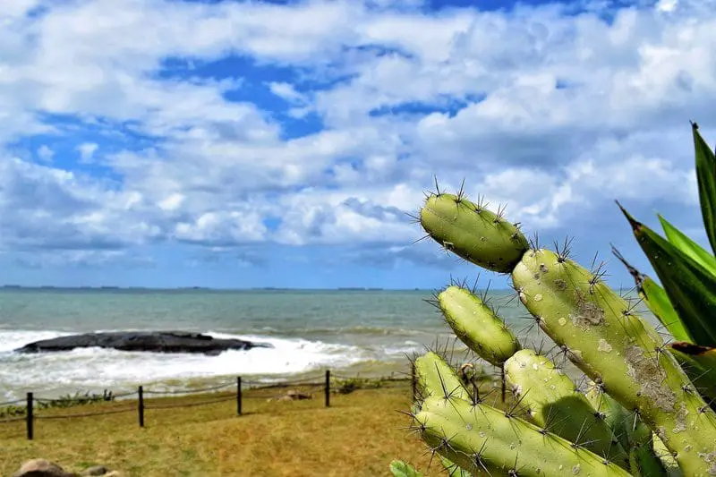 Ao final da praia da Costa está o Farol de Santa Luzia, inaugurado por Dom Pedro I em 1871(Crédito: Ana Azevedo)