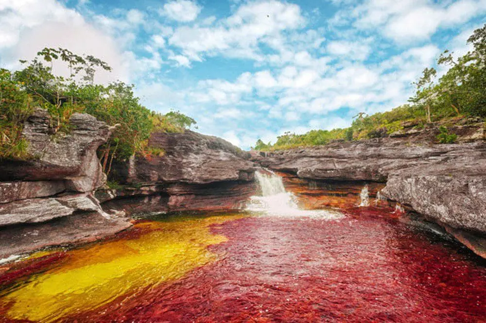Caño Cristales é conhecido como o 'arco-íris derretido' (Foto: Mario Carvajal/Creative Commons 3.0 Unported License)