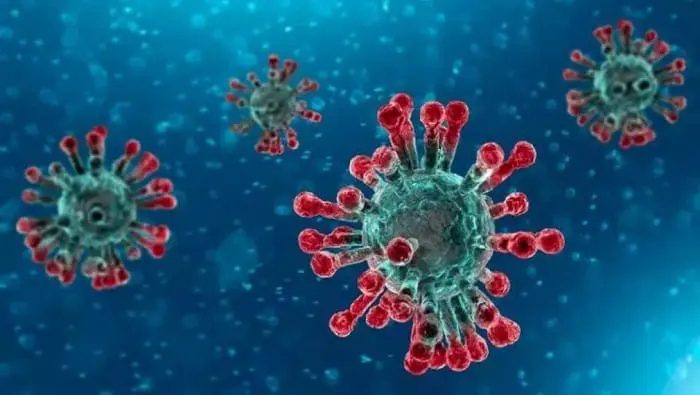 coronavirus_750x424-11559364
