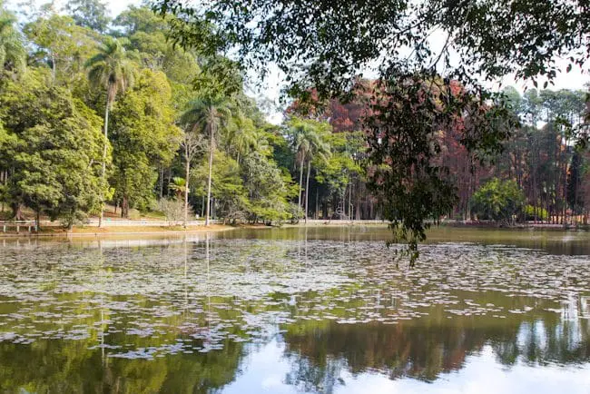Lago do Horto Florestal, um dos parques que fazem parte da marca "Parques Naturais de São Paulo".