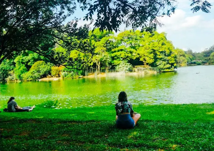 O Parque Ibirapuera