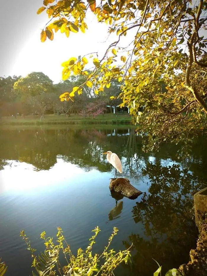 O Parque Ibirapuera, em São Paulo, terá diversas atrações entre os dias 28 de junho a 3 de julho.