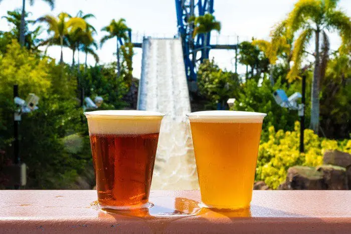 dois copos de cerveja e um brinquedo aquático atrás