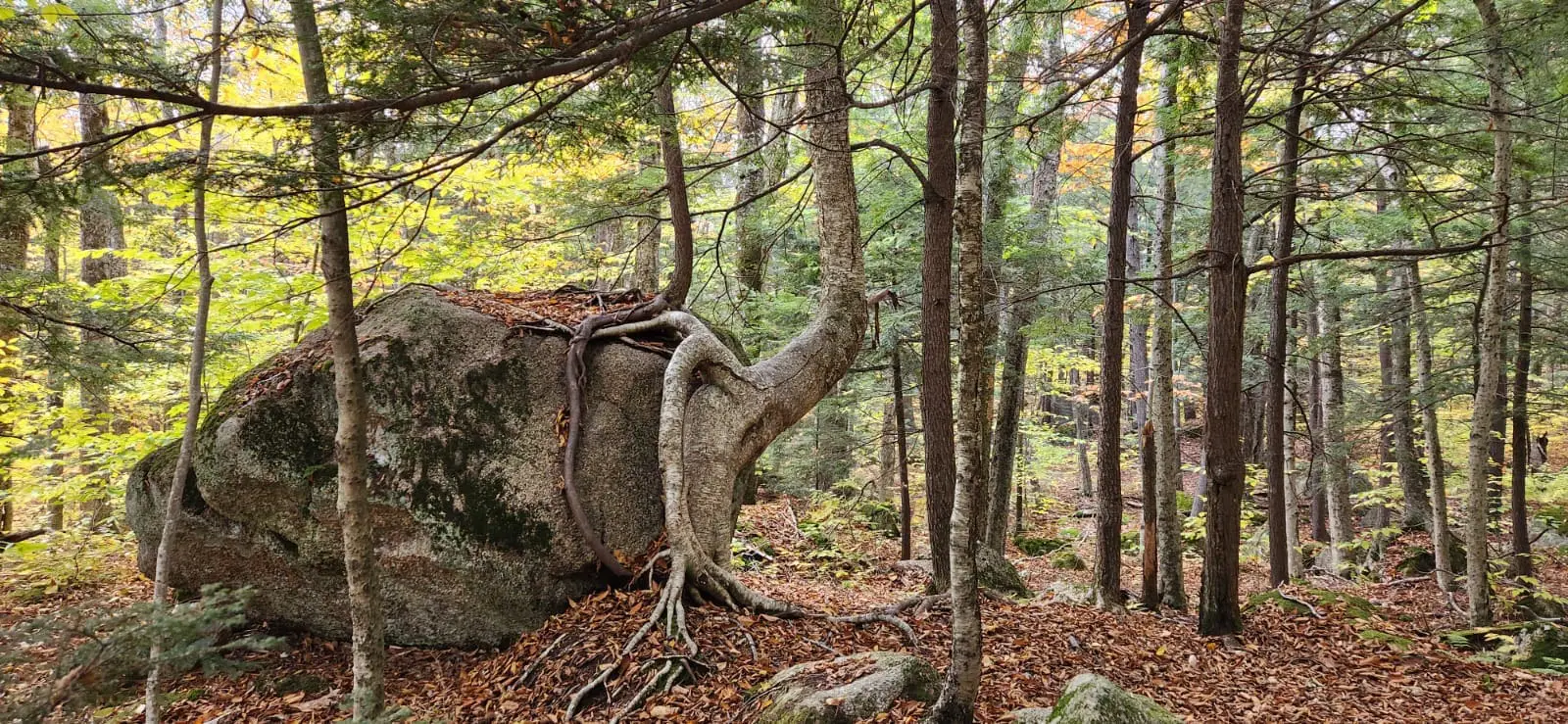 New Hampshire
