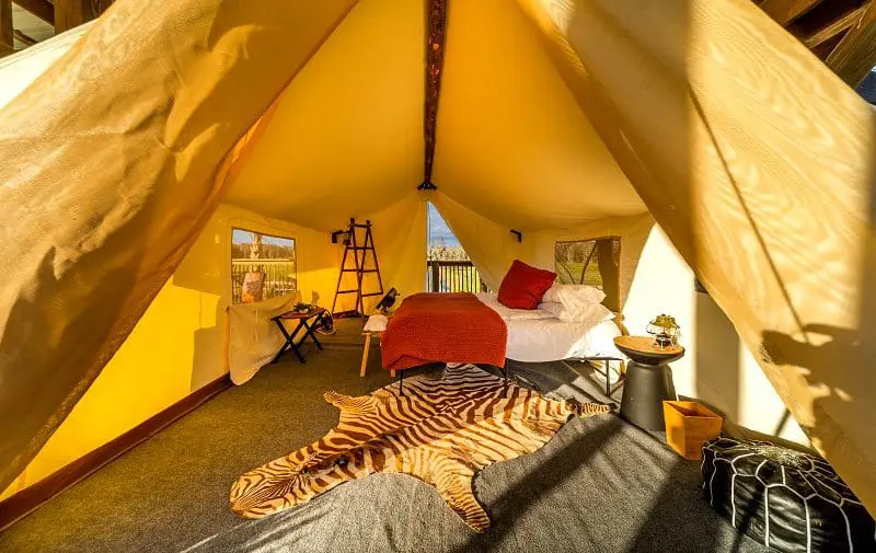 Safari Wilderness Ranch em Lakeland, na Flórida Central