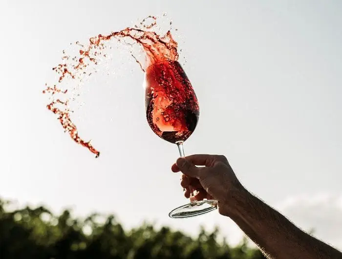 Colheita das uvas e degustação de vinhos fazem parte da programação da Casa Valduga para a Vindima 2023.