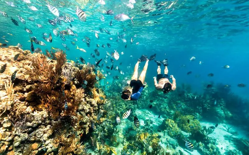 Ministério de Turismo das Bahamas tem nova diretora geral