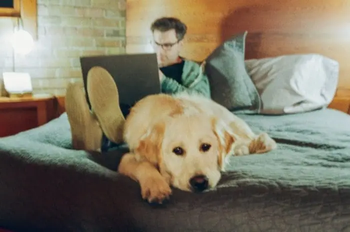 Brian Chesky, CEO do Airbnb, com sua golden retriver de 1 ano de idade, Sophie.
