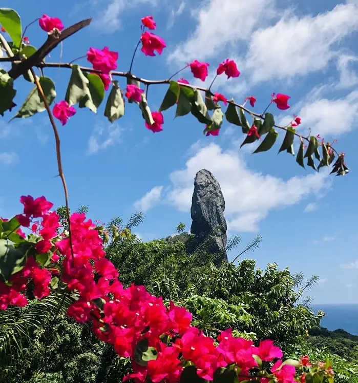 Junho em Fernando de Noronha: belezas naturais de Fernando de Noronha