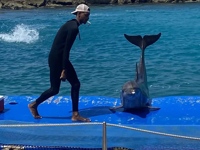 Destino Curaçao: Seaquarium