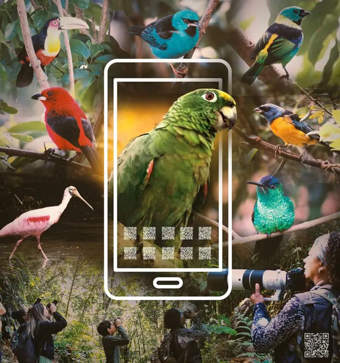 São Paulo prepara experiências: A observação de aves, a partir da realidade aumentada, também será possível no evento