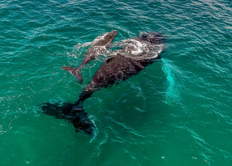 Foto: Divulgação / Promtur Panamá