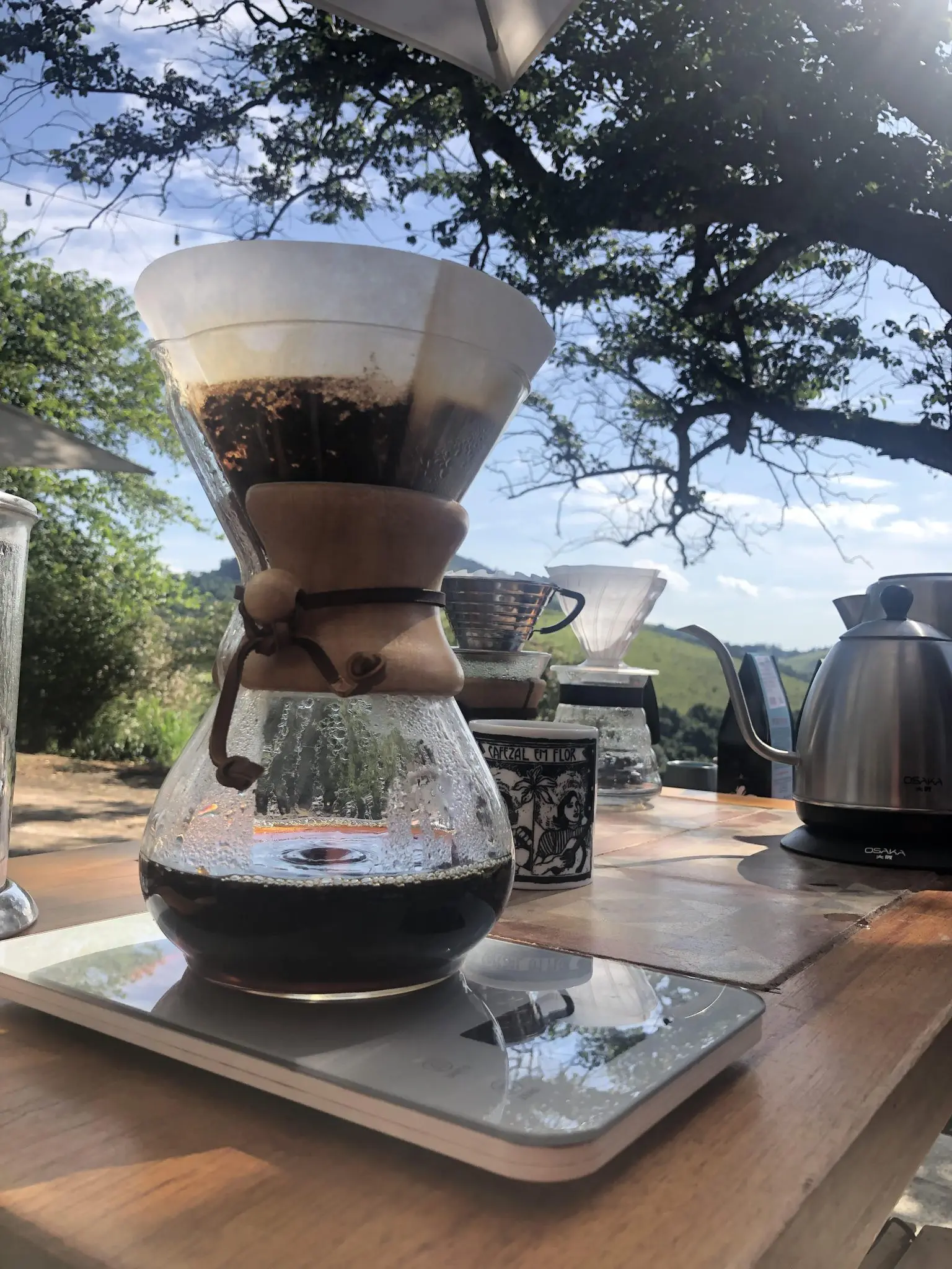 Festival do Café