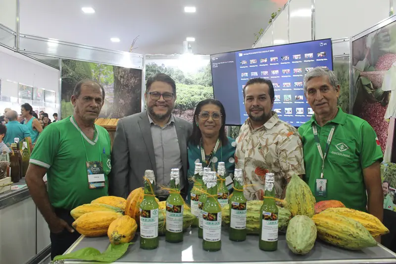 Chocolat Xingu 2024