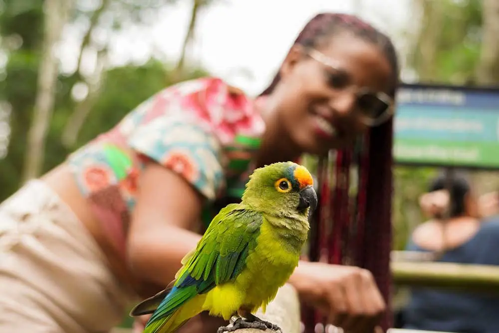 Foz do Iguaçu