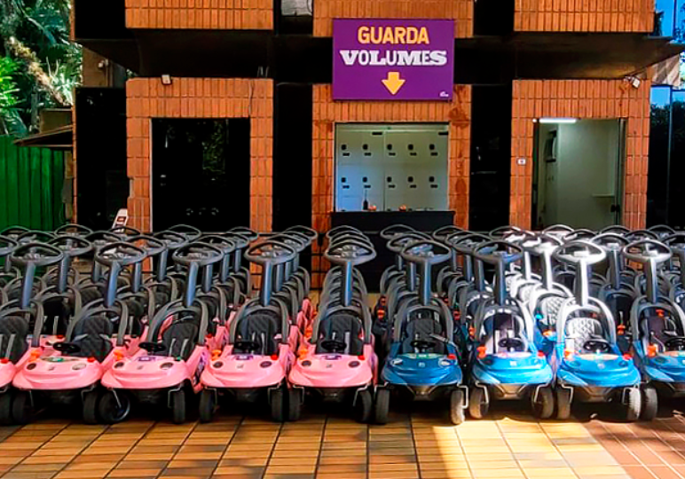 Aluguel de carrinhos para crianças no Zoo de SP