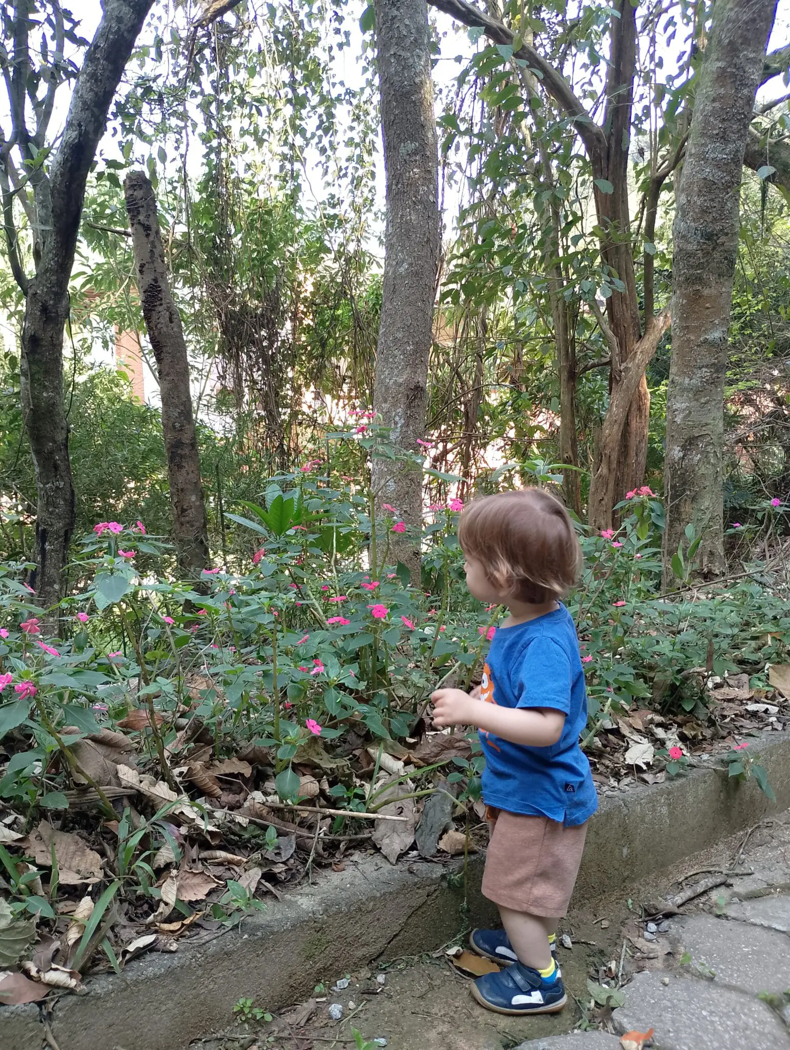 Benjamin durante a trilha no Villagio Embu (Foto: Clara Ribeiro)