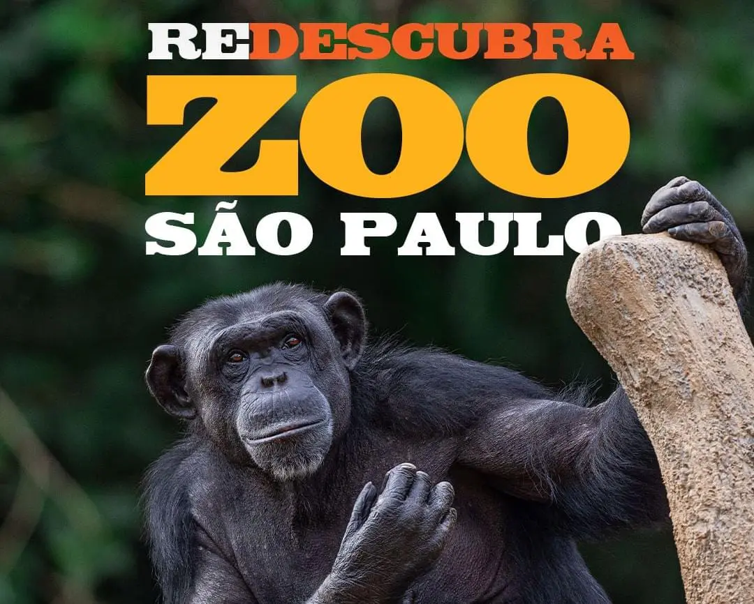 (Foto: Reprodução / Instagram)