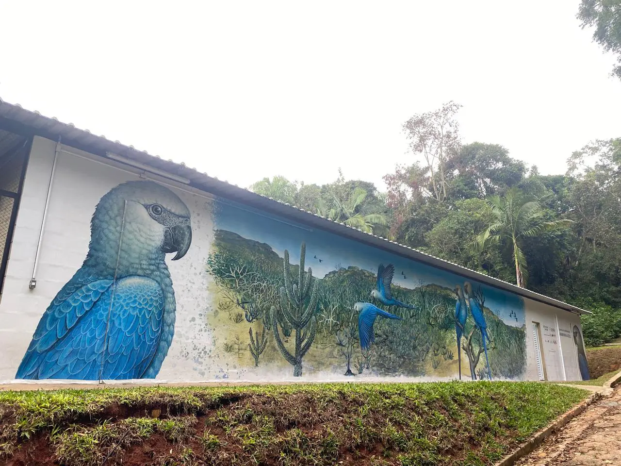 Centro de Conservação da Ararinha-Azul (Foto: Divulgação)