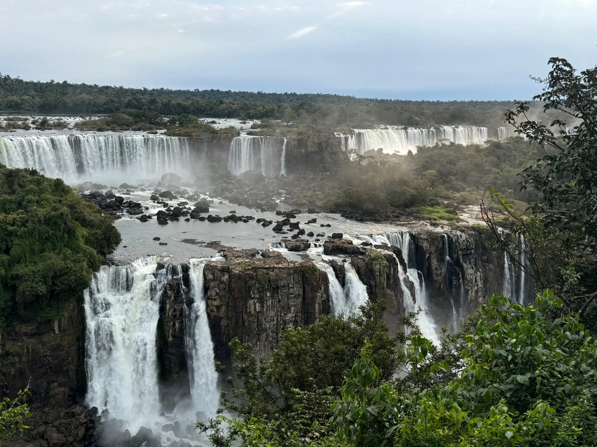 Parque Nacional do Iguaçu com rica fauna e flora em meio à mata Atlântica (foto: Simone Barros)
